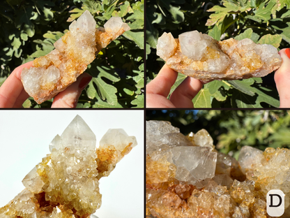 Option D, four views of a cactus quartz piece, with several short fat quartz points sticking out of chunky druzy. There is a pair of intergrown points. The main points are colorless, with yellow-brown staining in between.