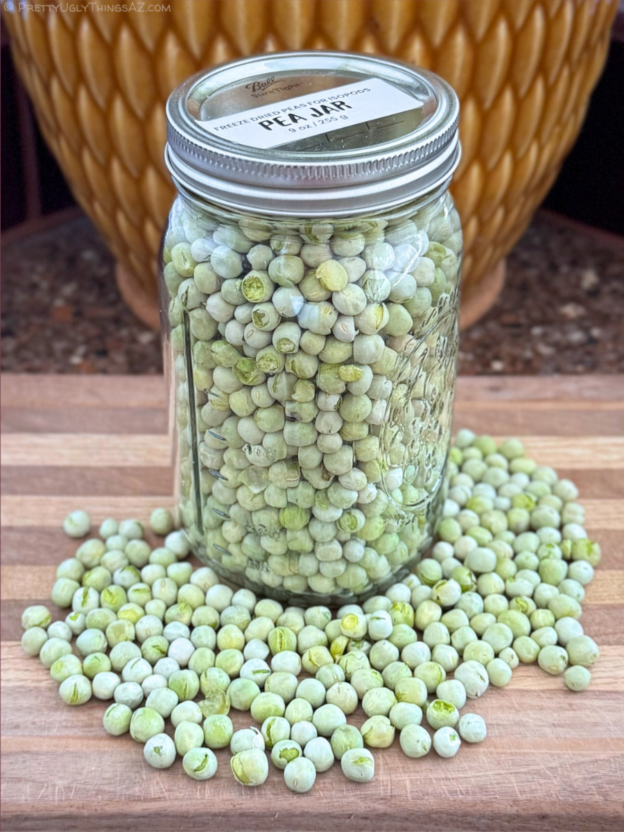 Isopod Nutrition: freeze-dried peas