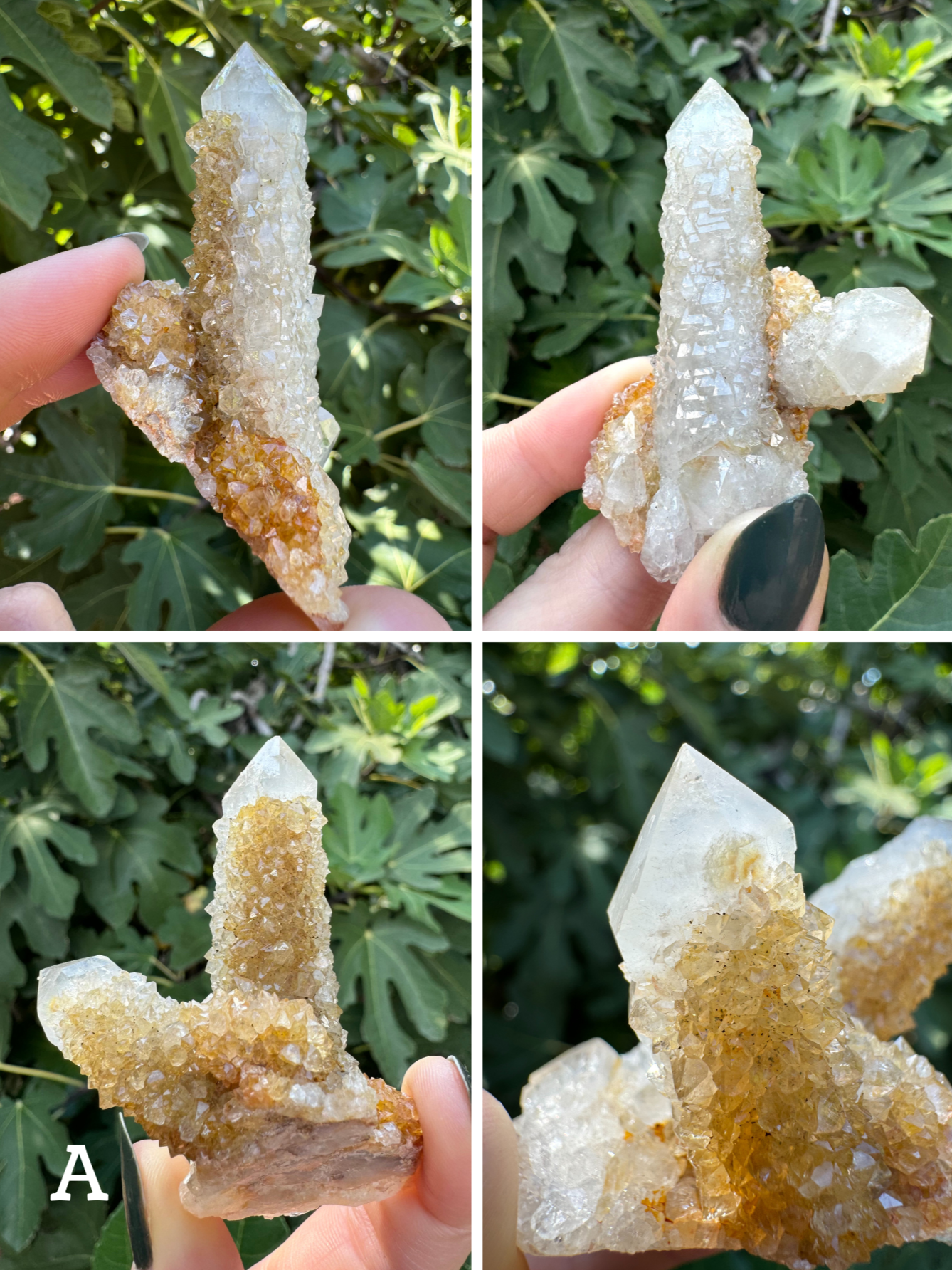 Option A, four images showing a pair of cactus quartz points at right-angle to one another, one side white and the other tinted brown-yellow with pepper inclusions. The druzy is relatively large and chunky, and the larger point has some alligator growth on one side