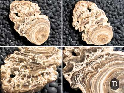 Aragonite cave formation, polished slice (medium)