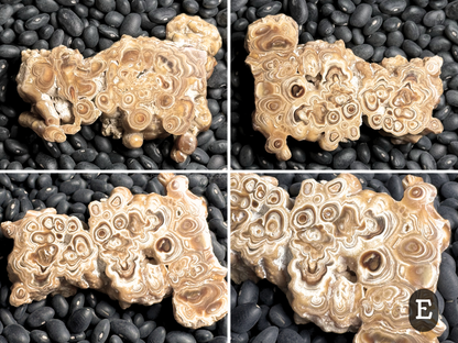 Aragonite cave formation, polished slice (medium)