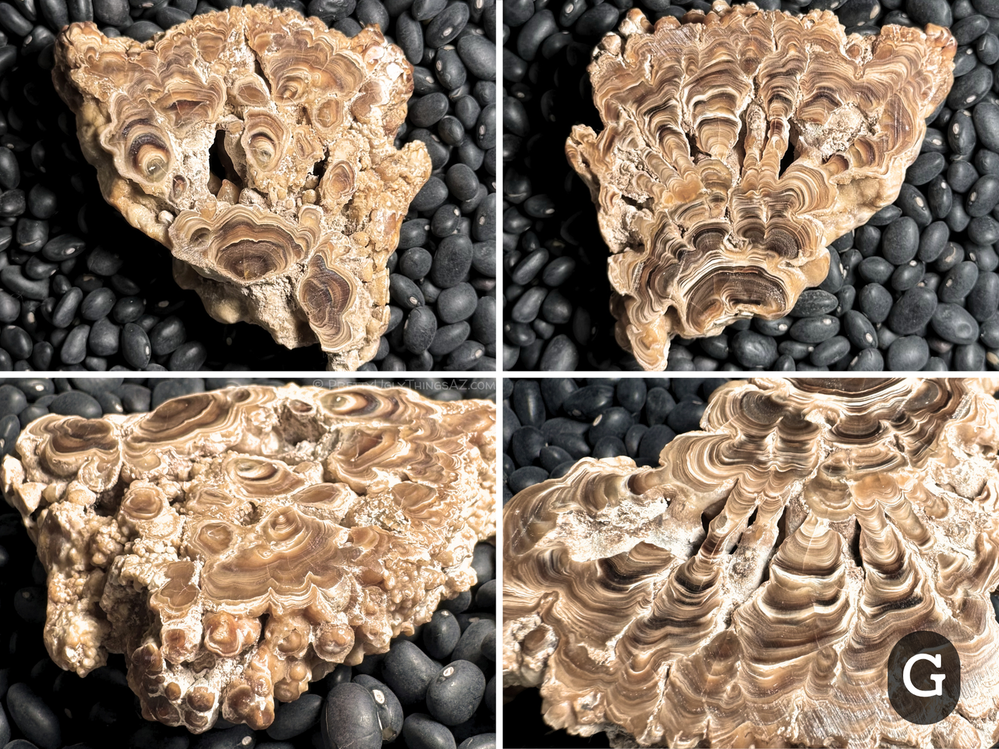 Aragonite cave formation, polished slice (medium)
