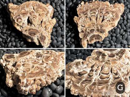Aragonite cave formation, polished slice (medium)