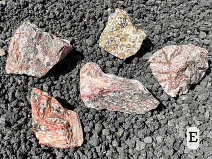 Option E, five pieces of rough. One is typical yellow leopardskin pattern, and the other four are different tones of red with orange, pinkish, and cream. Two have well-defined banding, and the other two have grayish orbicules.