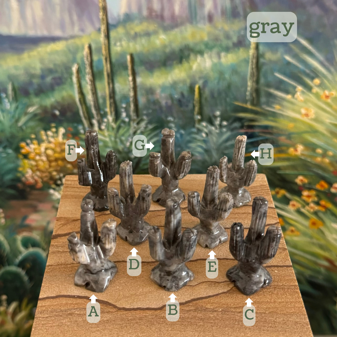 Captioned "gray," eight saguaros labeled A through H. A is light gray with a dark gray stripe and some mottling. B is a streaky light and dark gray. C is a mottled dark gray. D is gray with a few dark spots. E is gray with a bit of dark gray striping. F is a mottled very dark gray. G is a smooth gray. H is a mottled light gray.