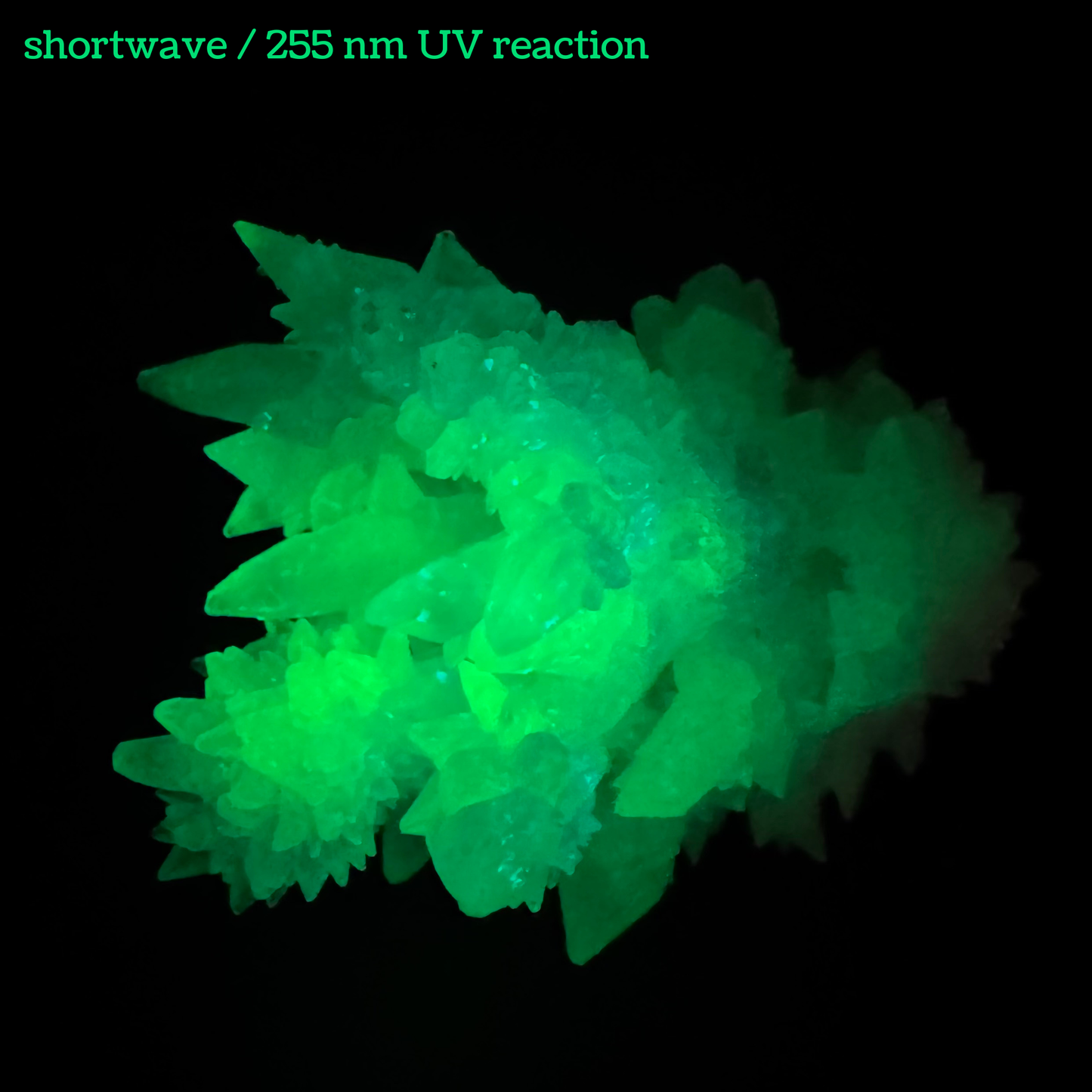 Aragonite stalactite "cave calcite," Santa Eulalia (medium)