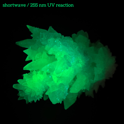 Aragonite stalactite "cave calcite," Santa Eulalia (medium)