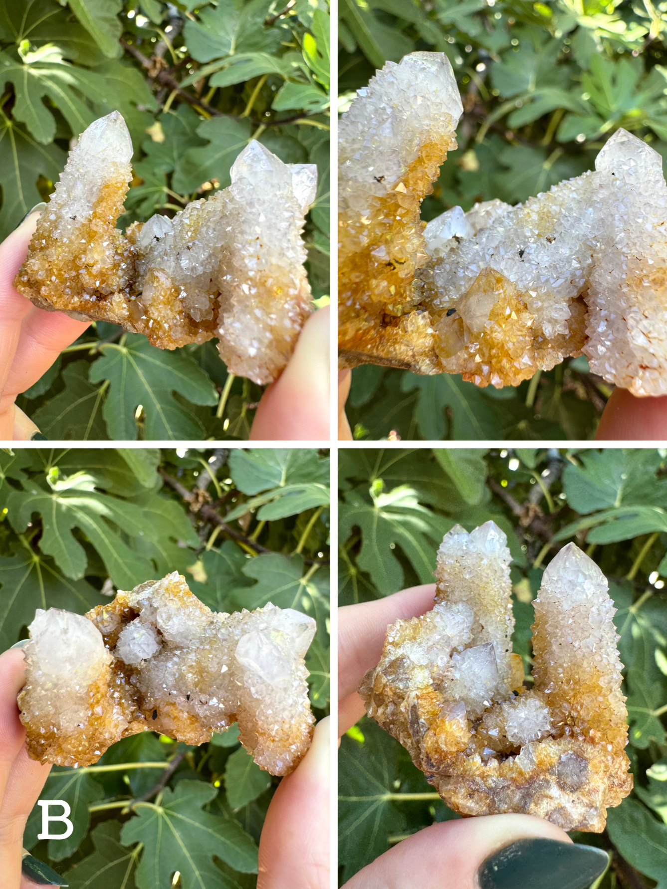 Option B, four images of a cluster of cactus quartz with three main points. It is white with yellow iron staining at the base, and has good-sized glittering druzy