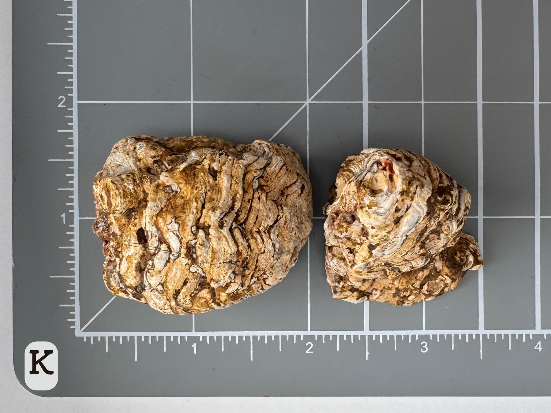 Option K: Scale image of the geode pair face-down on a measuring mat, measuring about an inch and a half in diameter.