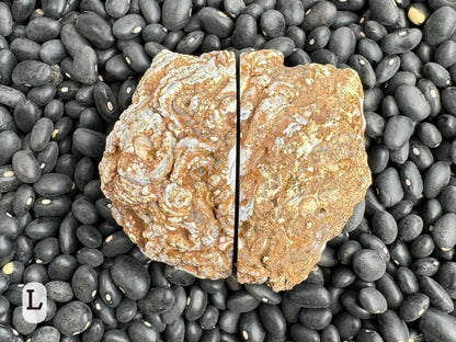 Option L: the two halves of the geode placed together closed, with a rough exterior of white and yellow-brown ropy forms.