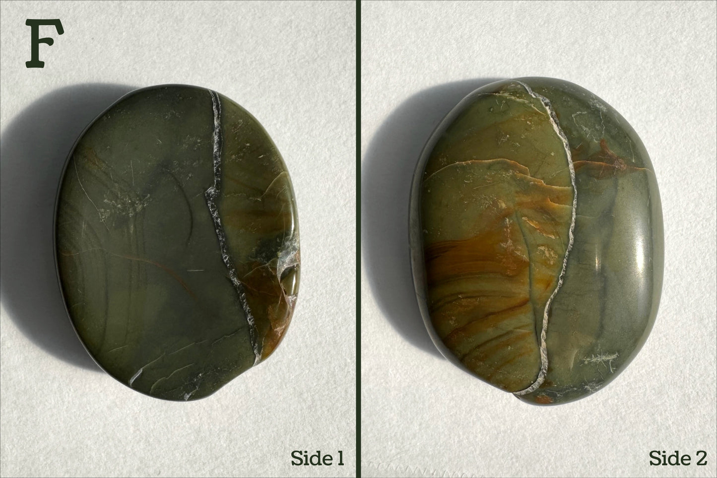 Option F, Greenish gray with yellow gray side, separated by white veining. One end is asymmetric.