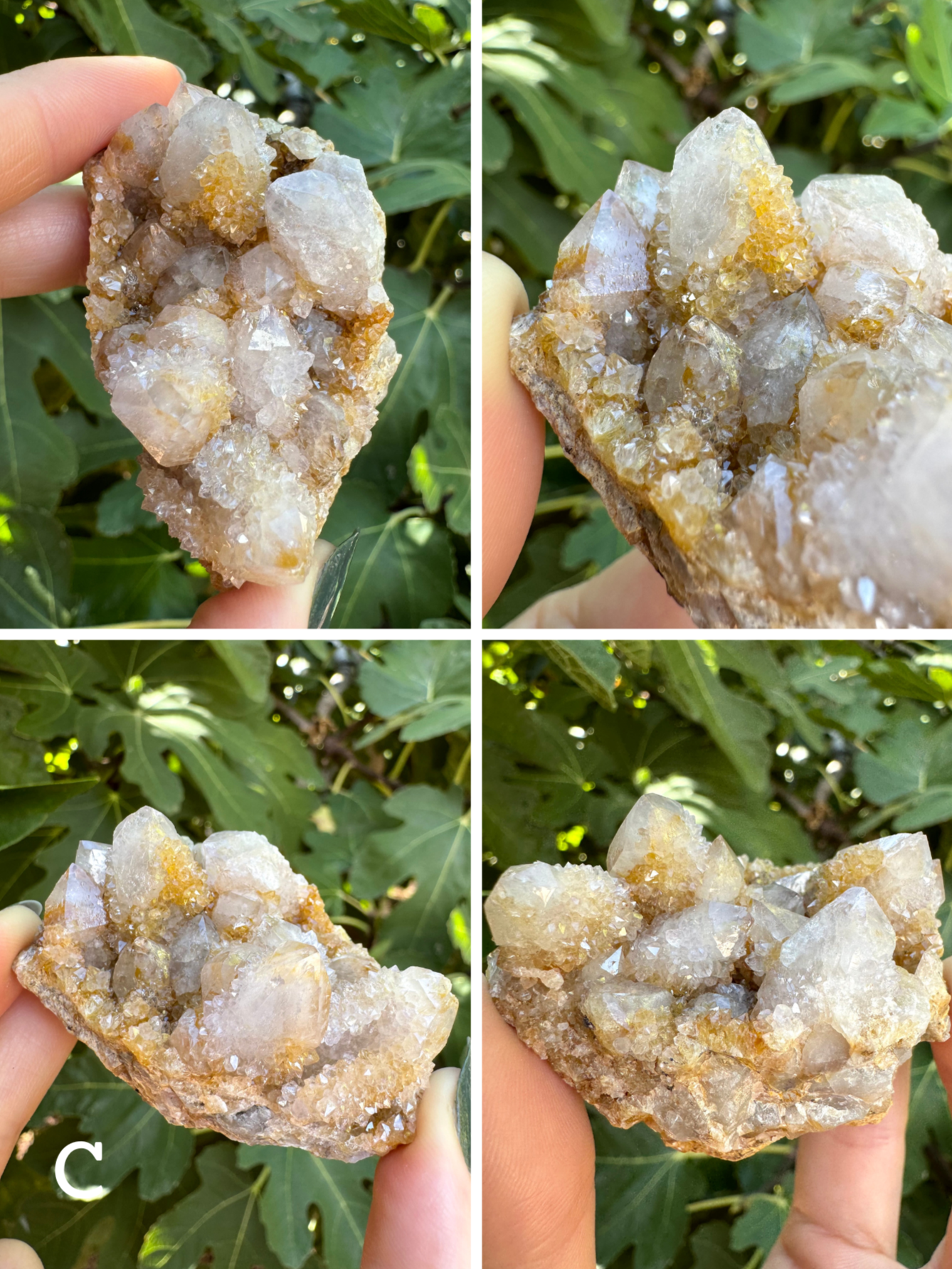 Option C, four images of a squat cactus quartz cluster with short, wide crystals. It is mostly white with some yellow staining. Druzy not as well-formed as others