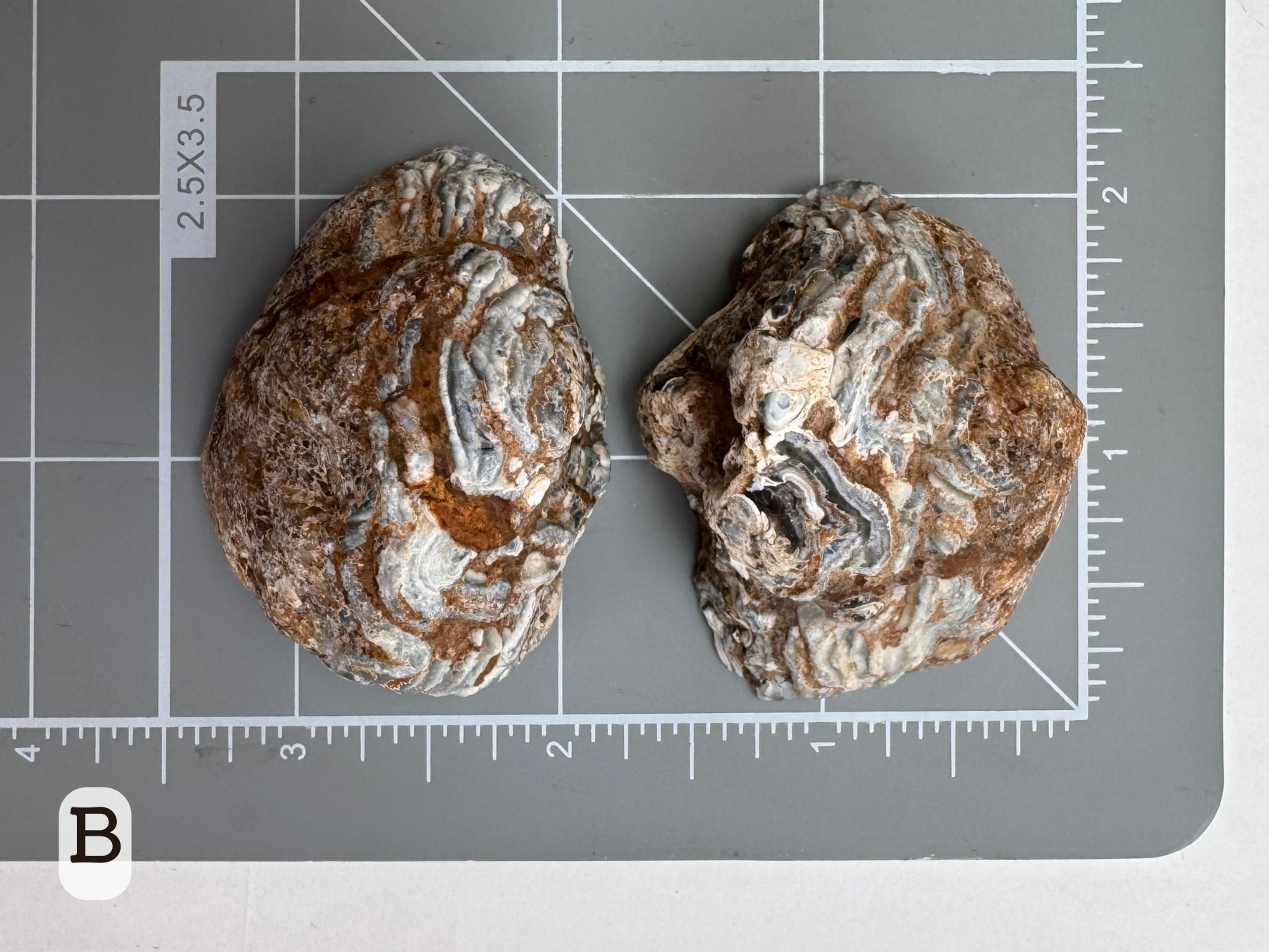 Option B: Scale image of the geode pair face-down on a measuring mat, measuring approximately two inches in diameter.