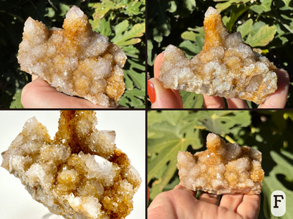 Option F, four views of a cactus quartz cluster with one main point and some stubby smaller ones. The quartz is off-white with orange-brown iron staining under the druzy, more saturated appearing between mounds of druzy.