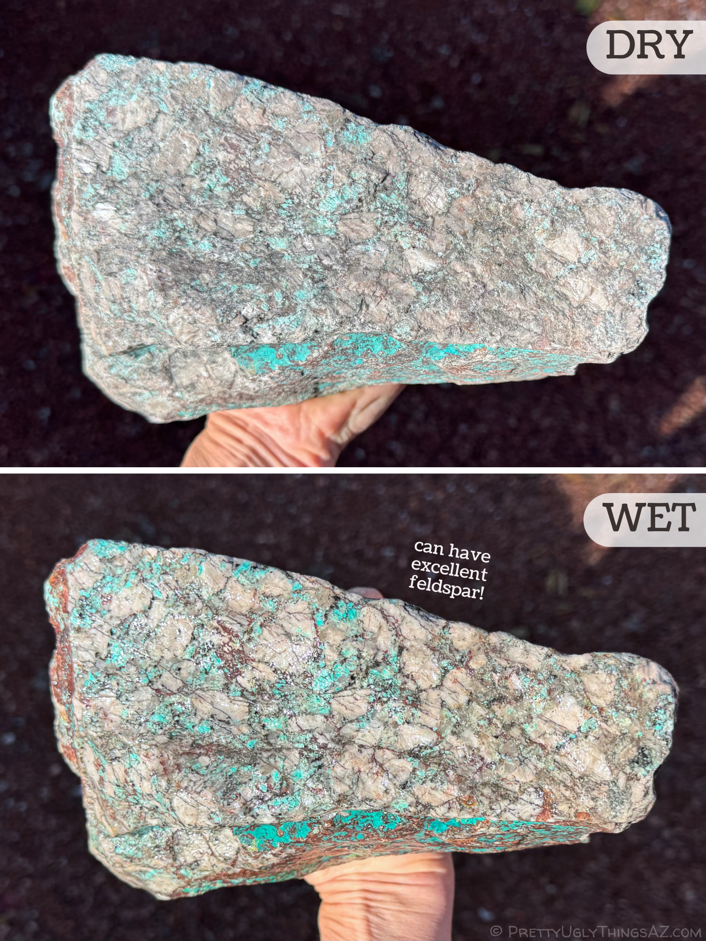 A large piece of the Kino blue rock shown both dry and wet, with text noting the rock can have excellent feldspar. The rock is heavy with large pale feldspar crystals, the darker host rock like webbing between crystals. Veins of turquoise blue chrysocolla snake through the rock. The pattern is darker and more distinct when wet.