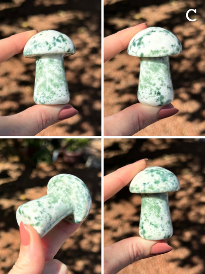 Option C, four views of a moss agate mushroom that is all white with splotchy muted green spots all across it