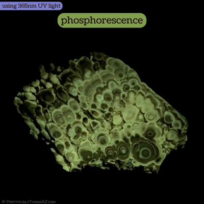 Aragonite cave formation, polished slice (large)