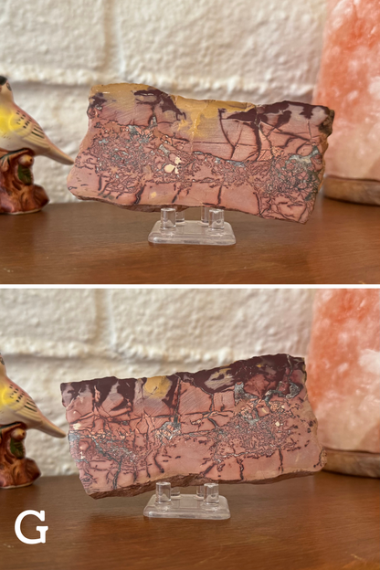 Jasper slice G, which shows a lot of dark red and white veining and has chunky dark veining along one edge. In one spot, the dark veining outlines a patch of white crystal in the shape of a cat.