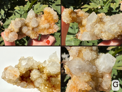 Option G, four views of long thin piece of cactus quartz, with short quartz points and a flap-like formation on one end, covered with druzy. The quarts is fairly white with orange-gold staining.