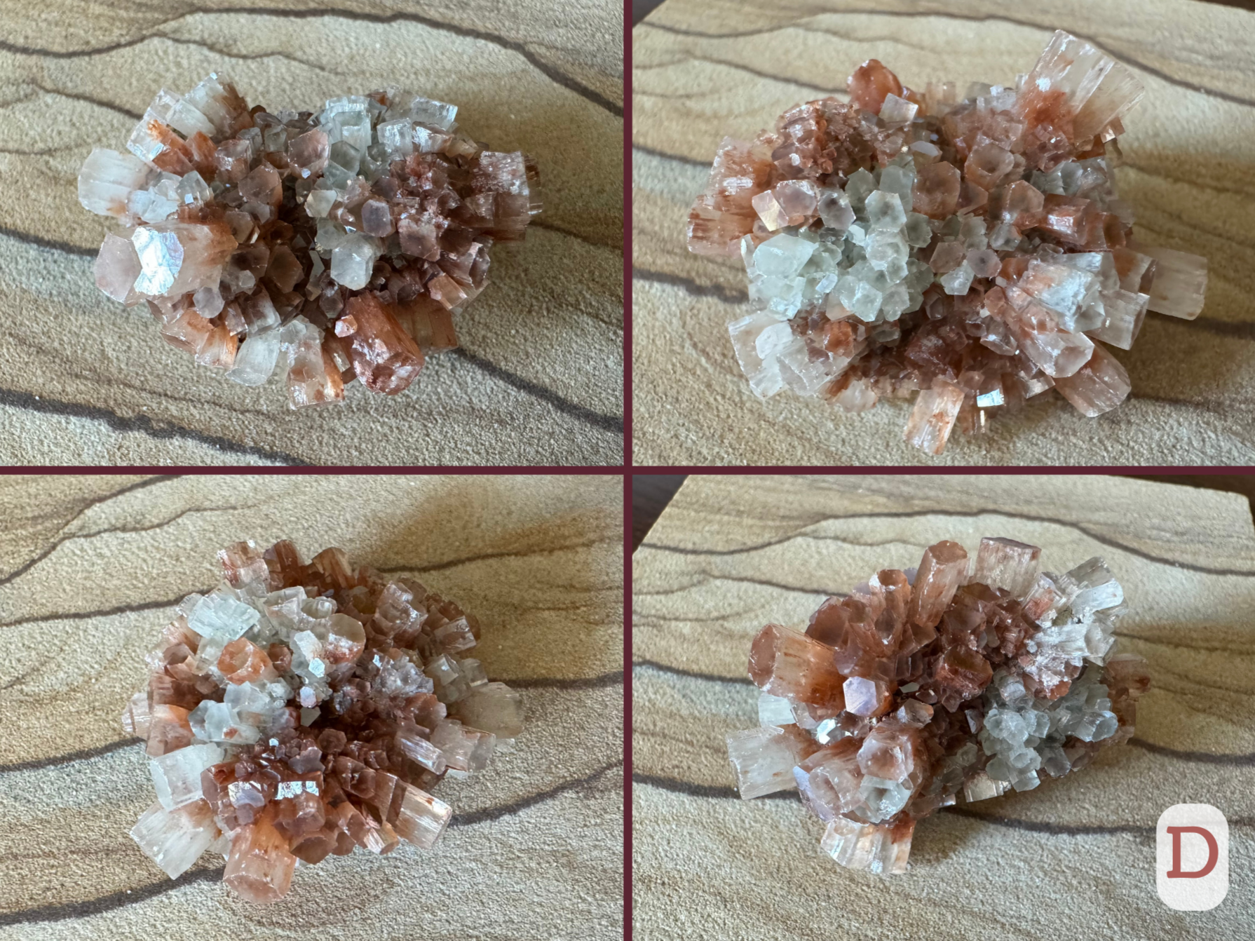 Option D, four views of a flat oval sputnik aragonite with good color balance of white and red-brown. Well-formed crystals all around, mostly short with some longer protruding ones.