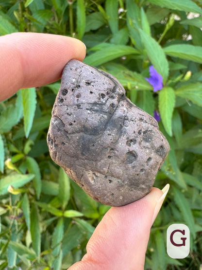 Option G, a brown-gray rock crossed with lines and covered in discolored indentations that appear to have a softer material eroding out of them.