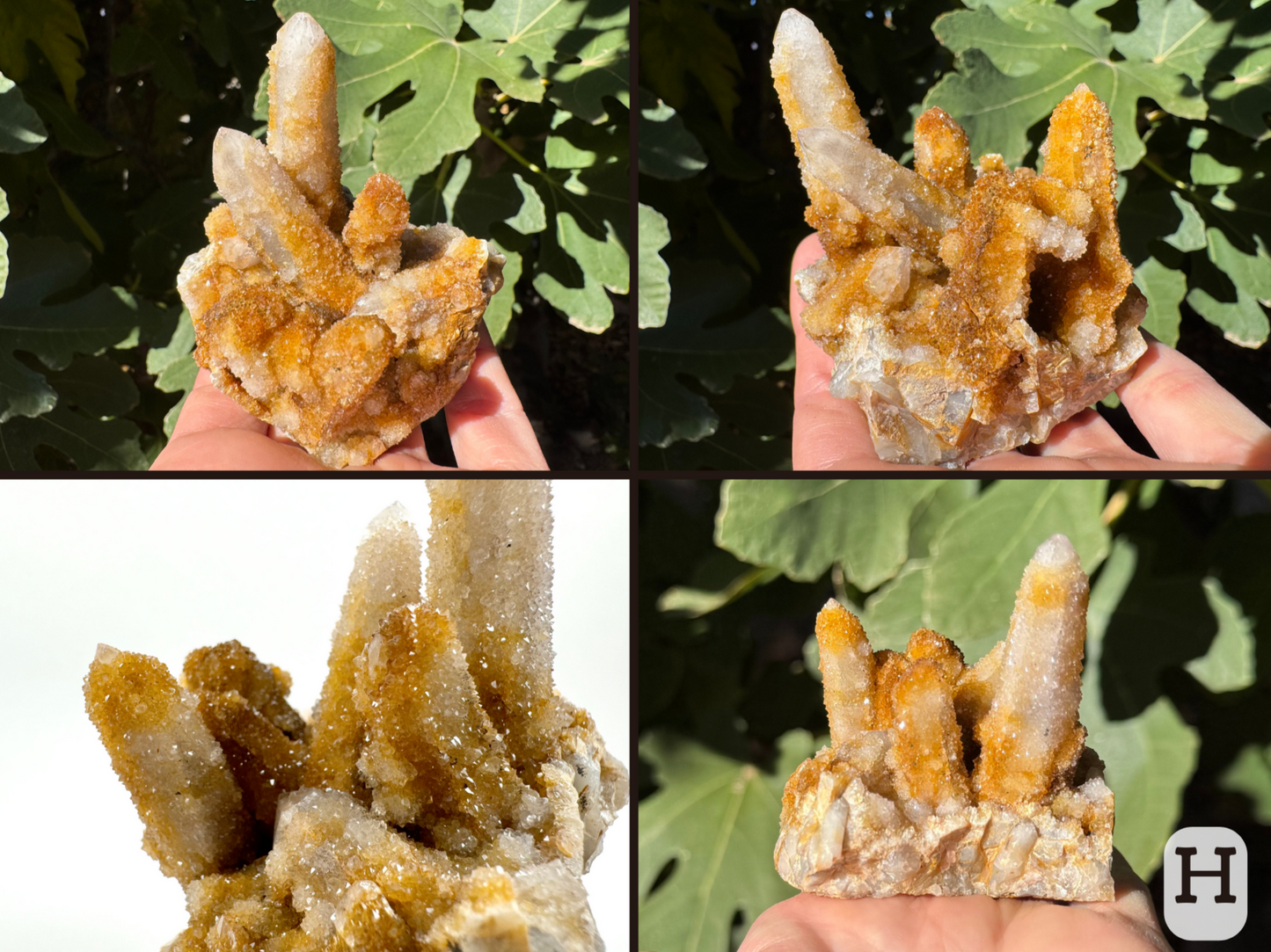 Option H, four views of a cactus quartz piece with a square base, and several good-sized quartz points covered in a finer druzy. The quartz is off-white with orange-brown iron staining.