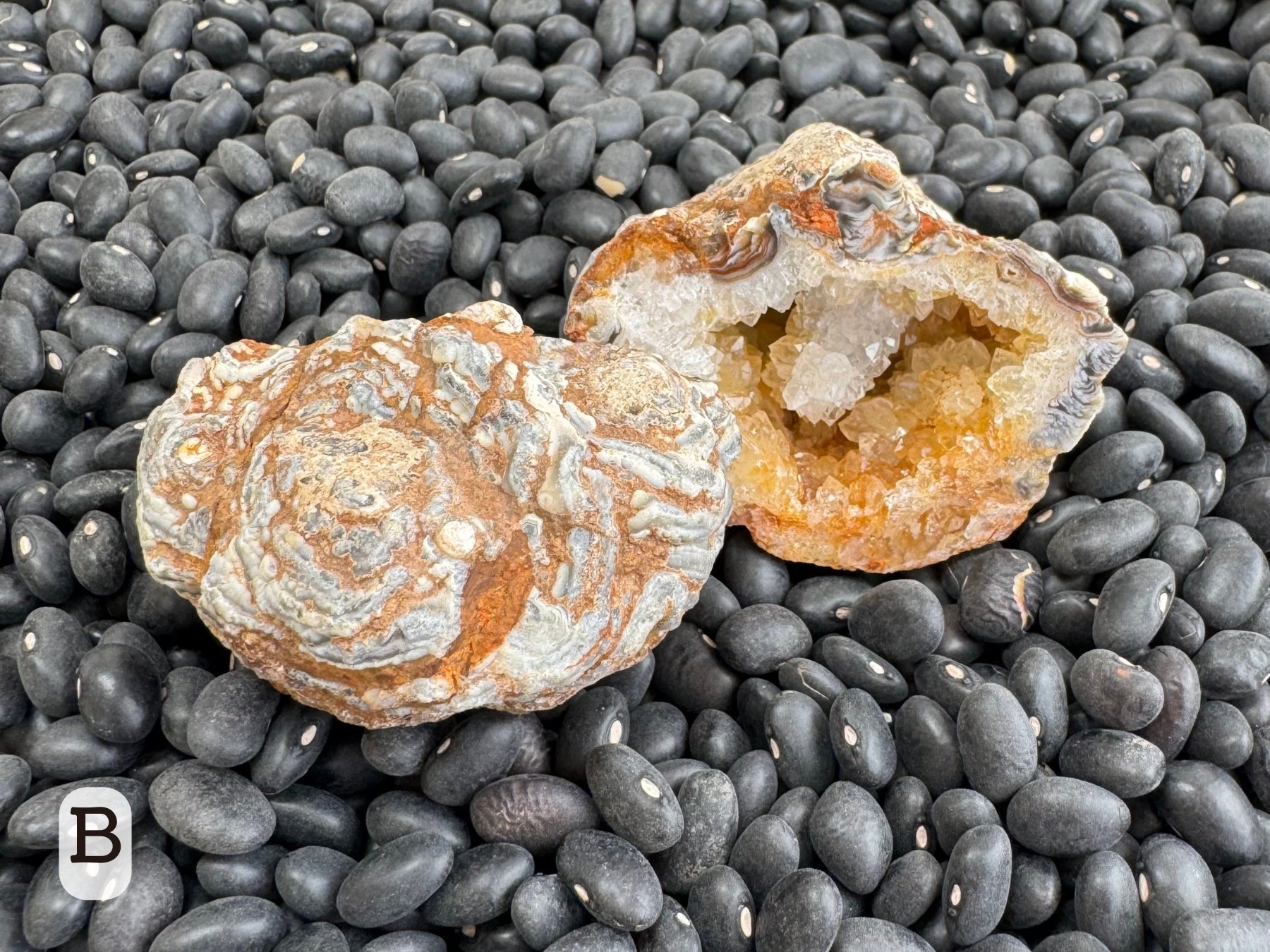 Option B: The geode pair with the back of one showing, displaying the ropy pattern of the exterior.