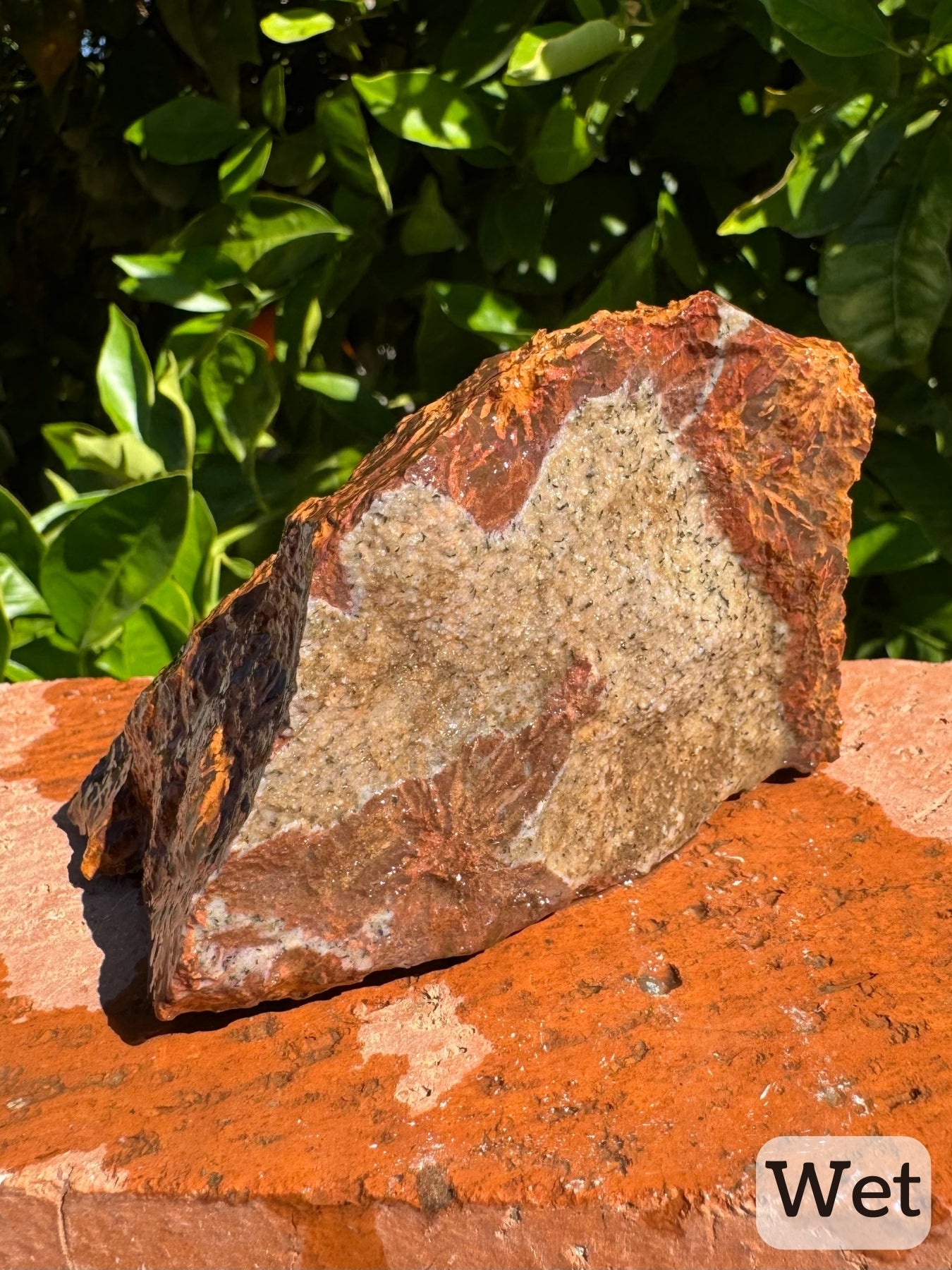 Captioned "wet," the side of the piece covered in sandy matrix while wet. Some spherulitic pattern is visible around the edges of this matrix.