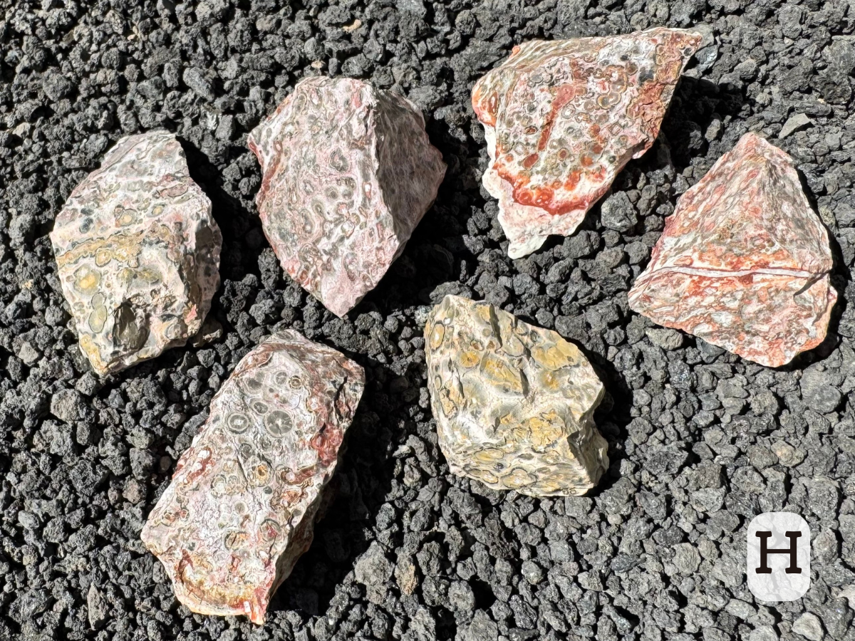 Option H, six pieces of rough. Two are typical yellow leopardskin pattern, another two typical red. Th final two are a lighter pinkish color with gray spherulites.