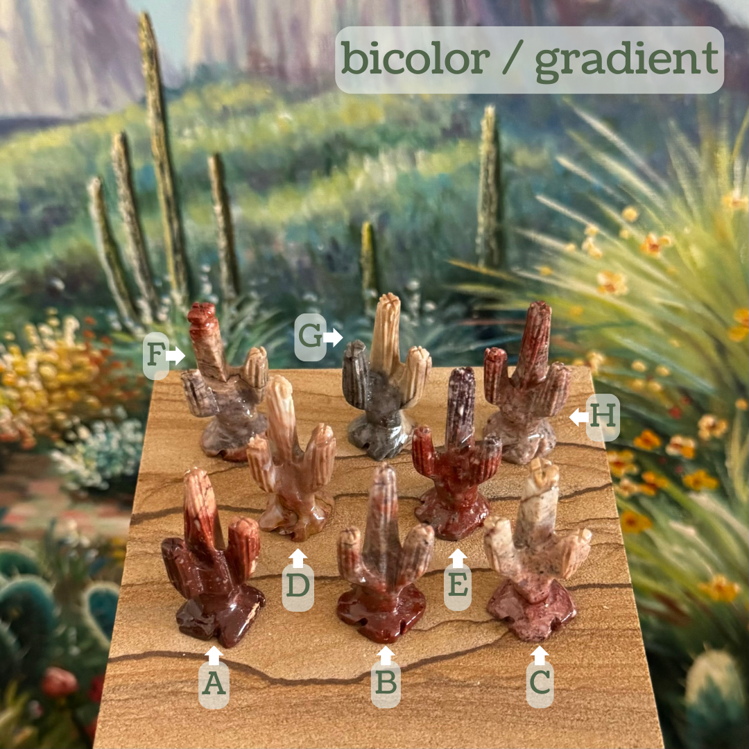 Captioned "bicolor / gradient," eight saguaros labeled A through H. A is very dark red at the base, cream at the tip. B has a deep red base and mottled light gray and red mottled top. C is light cream at the top deepening to a reddish at the base. D is cream at the tip darkening to more brown at the base. E is deep red with light spots, and a dark mottled gray tip. F is a streaky light gray and tan with red on the tip and base. G is part smooth gray, part tan. H is grainy light red-brown deepening to red.