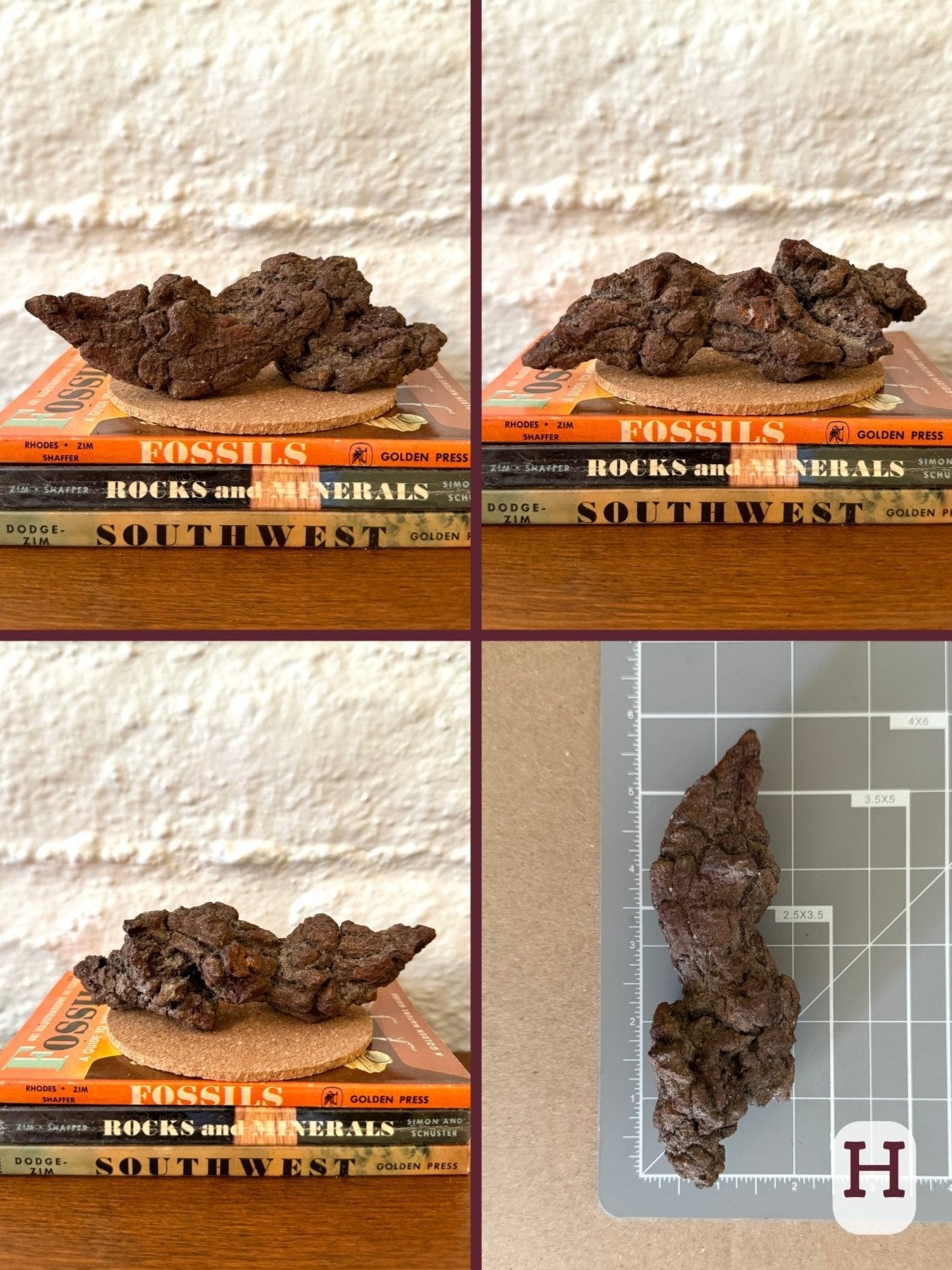 Option H, four views of a long twisted coprolite with pointed ends. Dark brown slightly reddish color. The final image shows the piece on a measuring mat, measuring about five and a half inches long.