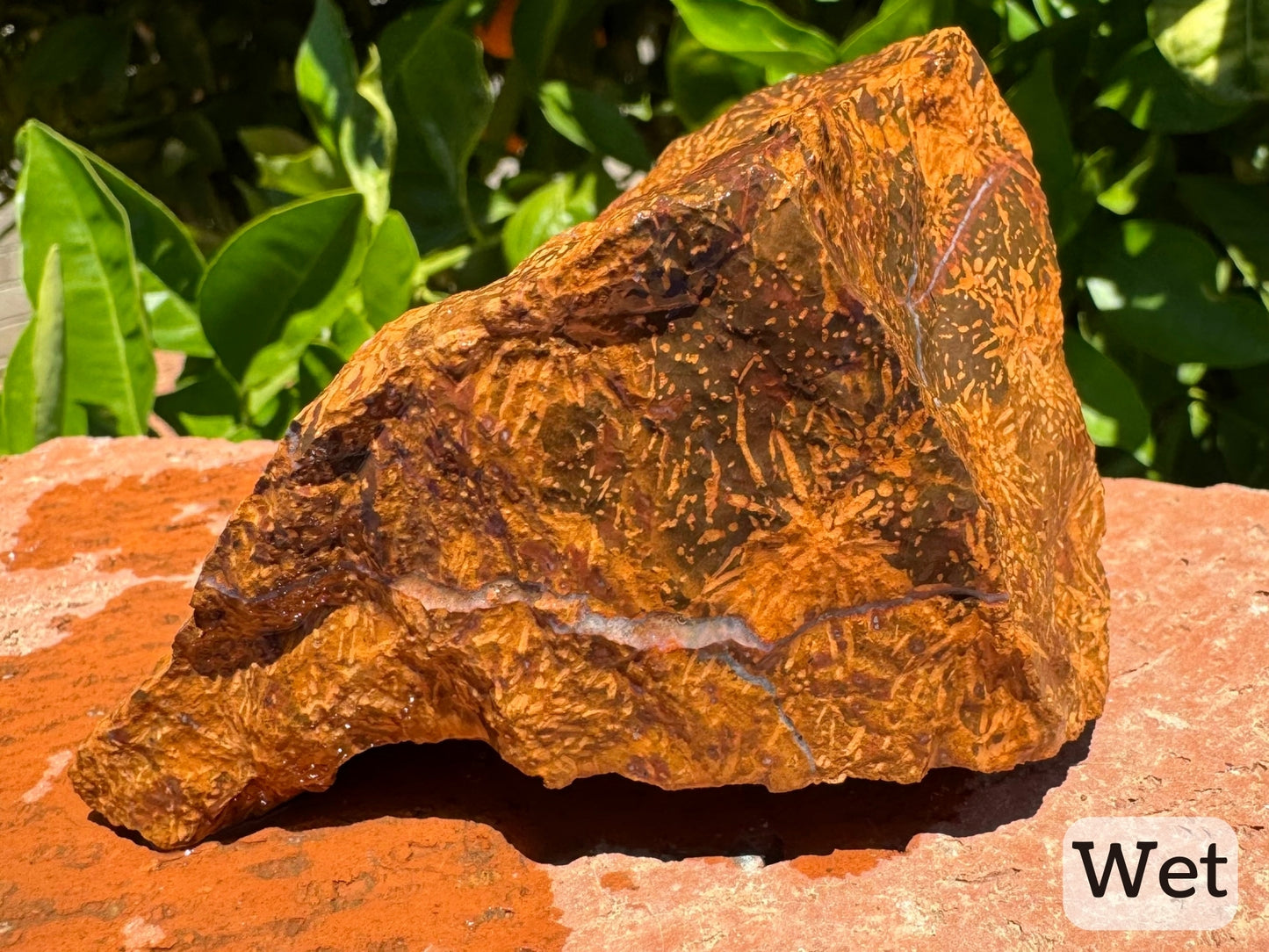 Captioned "wet," a view of a side while wet, showing the white quartz vein standing out against the background pattern