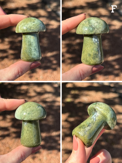 Option F, four views of a vibrant mottled light yellow-green and blue-green mushroom, with a white quartzy vein up one side.