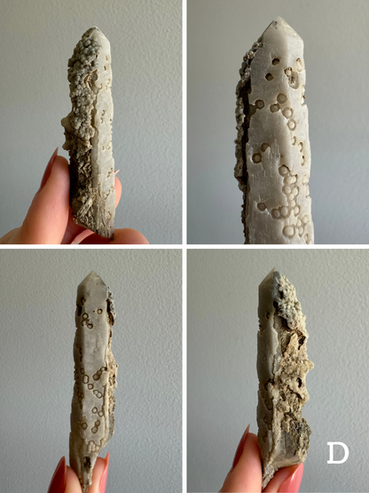 Option D, four views of an opaque off-white straight quartz point. One side of the piece has a whiter smooth face pocked with indented rings. The other side has an irregular bumpy crust cover a lot of it.