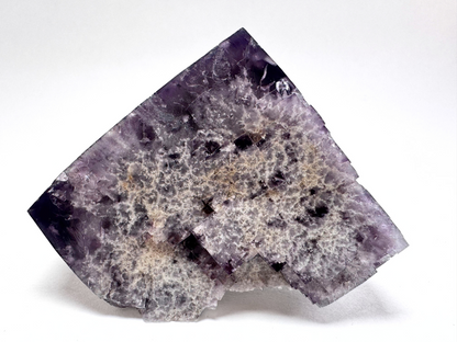 The partial cubic fluorite specimen in white lighting, without the daylight fluorescence effect. The mineral's body color is near-black with gray-purple tones. The white inclusions appear almost dendritic.