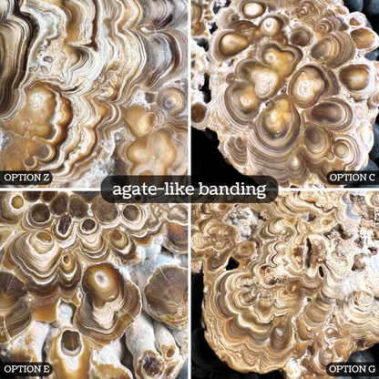 Aragonite cave formation, polished slice (small)