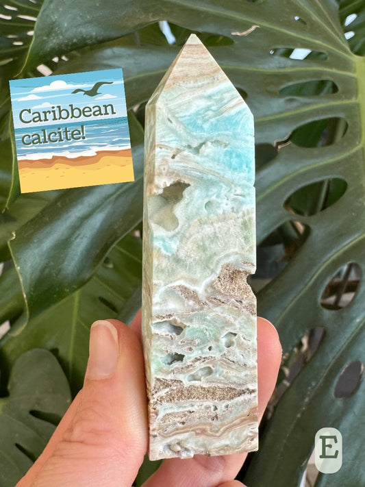 Option E, a Caribbean calcite tower with a small graphic shows a sea gull flying over a beach and says "Caribbean calcite!" in reference to a shape in the mineral that looks like a bird flying over a beach.