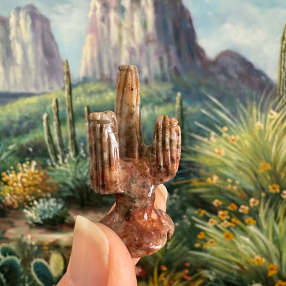 A saguaro that is yellow-brown at the top and more red-orange at the base, with dark spots.