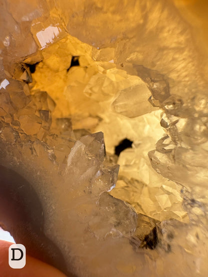 Option D: detail of half of the geode held up to light, showing its translucency and the interior glowing. There are well-formed quartz crystals lining the piece.