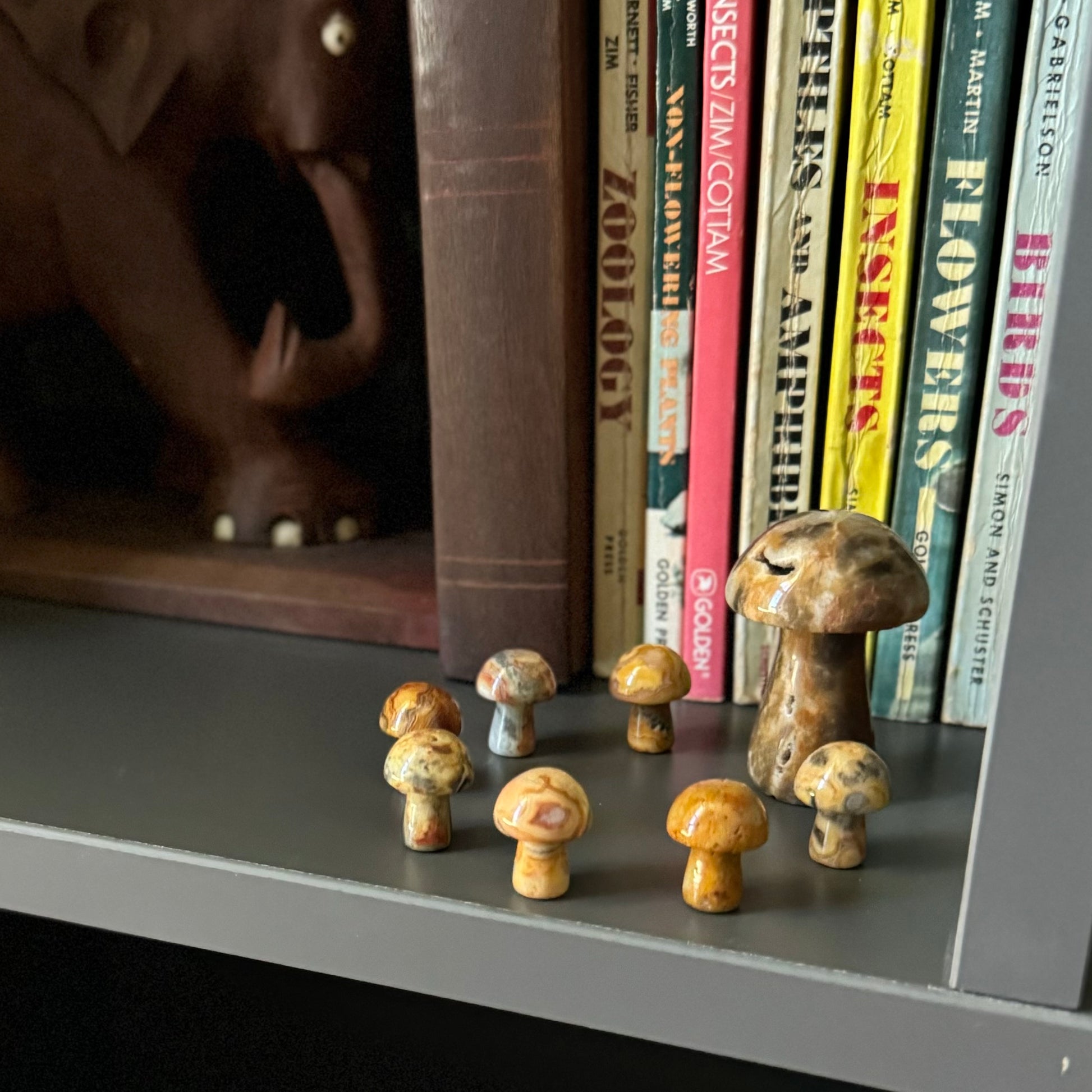 Set of one large and seven small yellow agate mushrooms arranged in a fairy circle on a bookshelf