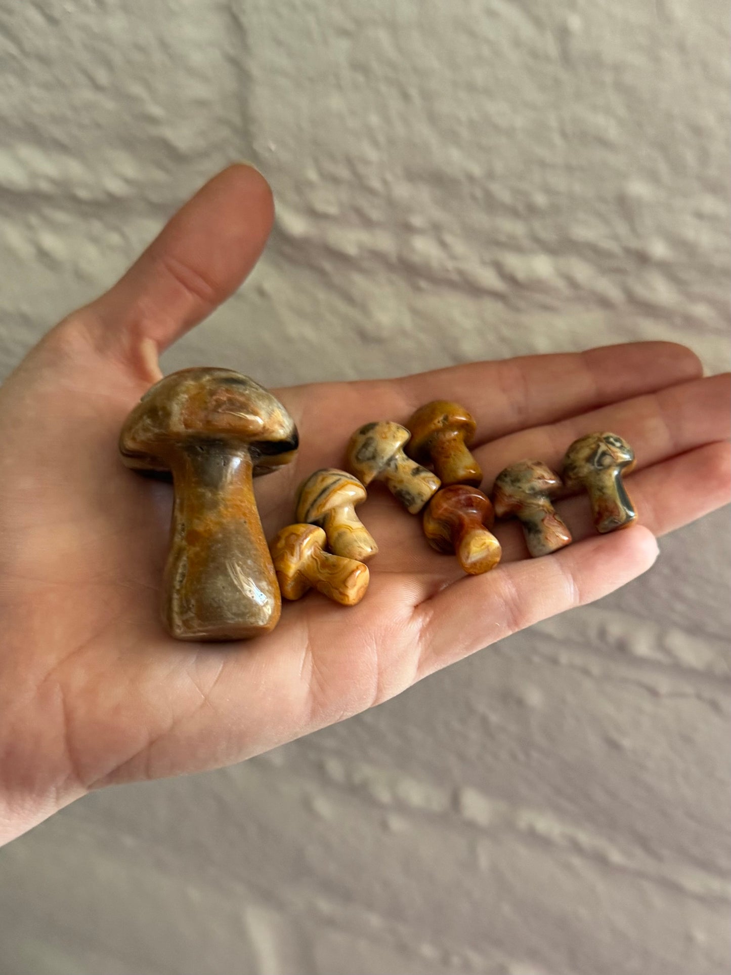 Set of agate mushroom in a palm to show scale; the largest is almost as tall as the palm and the smaller are lined up on the fingers. Exact measurements in full description