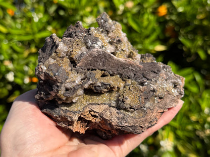 Side-view of the specimen, with a patch of minerals in focus. A narrow gap in the side is lines with calcite over wulfenite, with dark matte botryoidal crystals forming the upper edge, with exposed patched of wulfenite above.