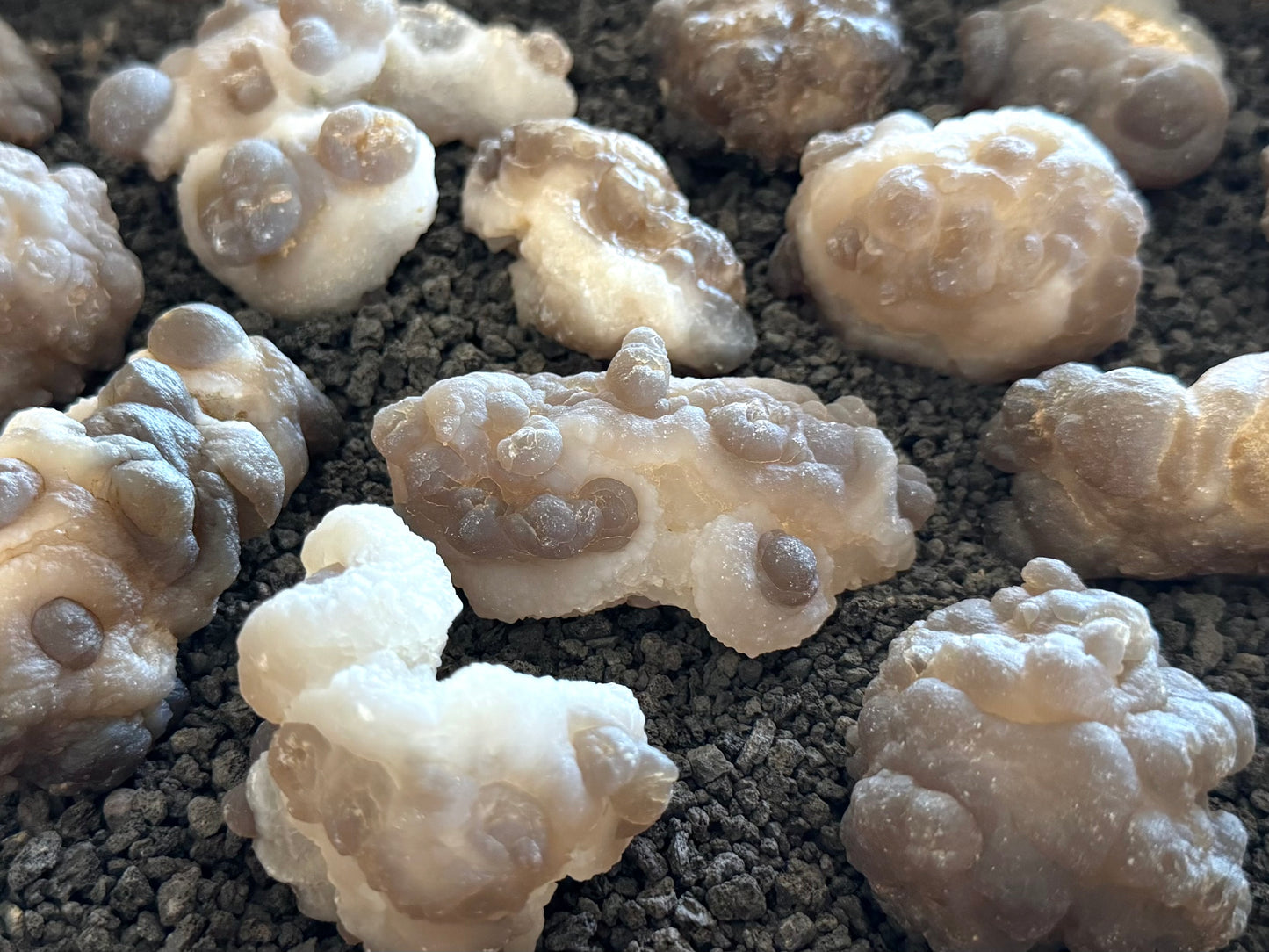 A bunch of white and brown-gray chalcedony nodules spread on a lava sand background.