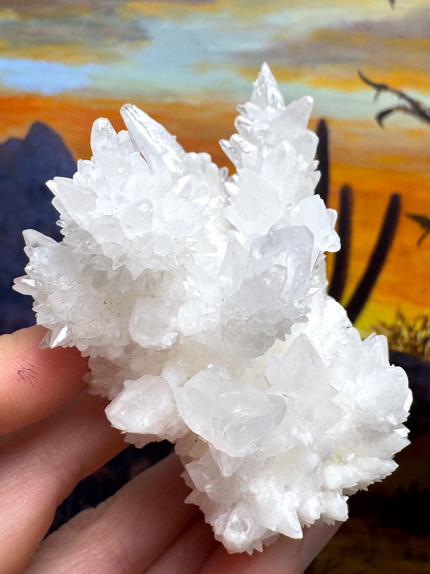 Aragonite stalactite "cave calcite," Santa Eulalia (medium)