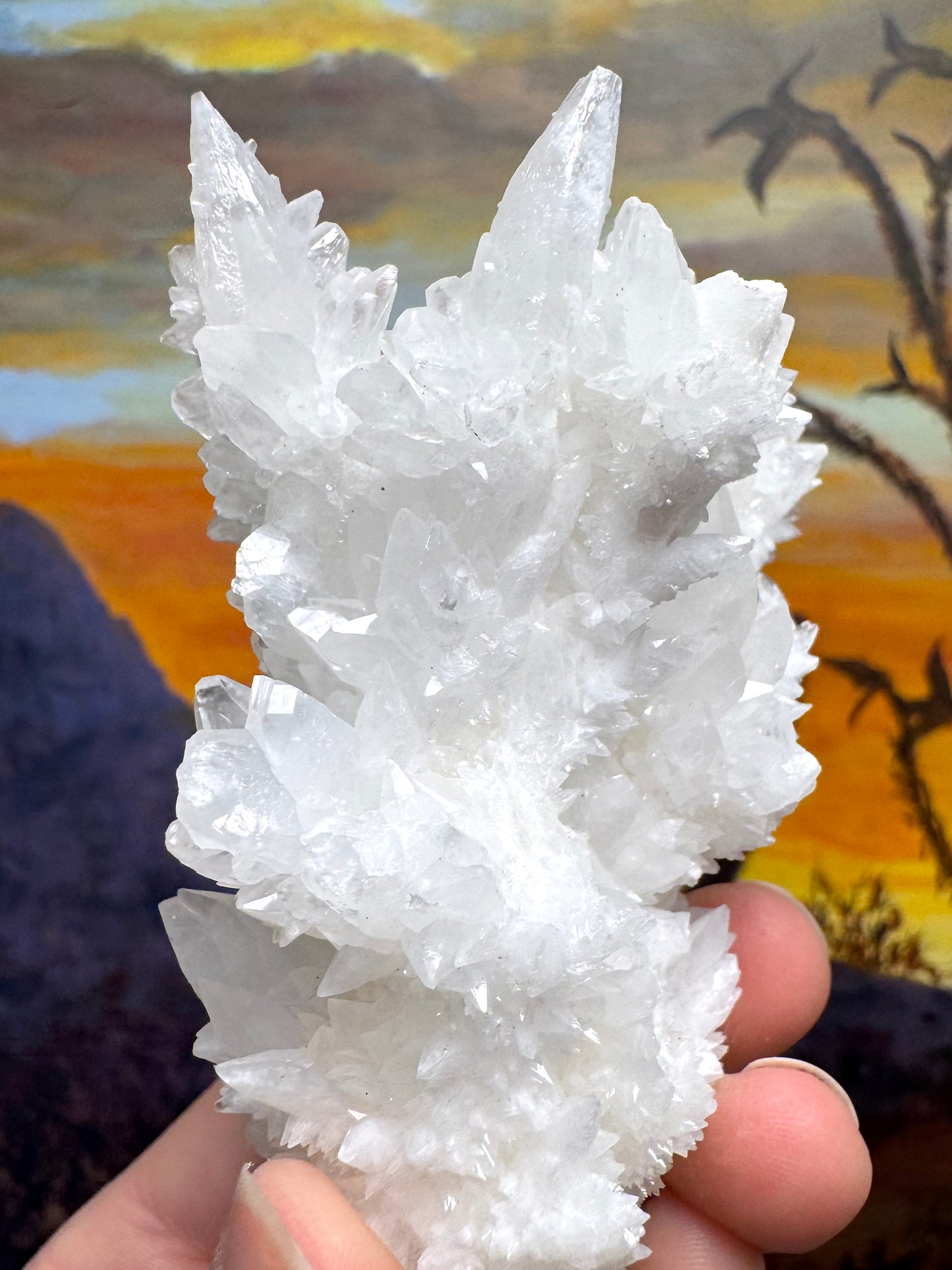 Aragonite stalactite "cave calcite," Santa Eulalia (medium)
