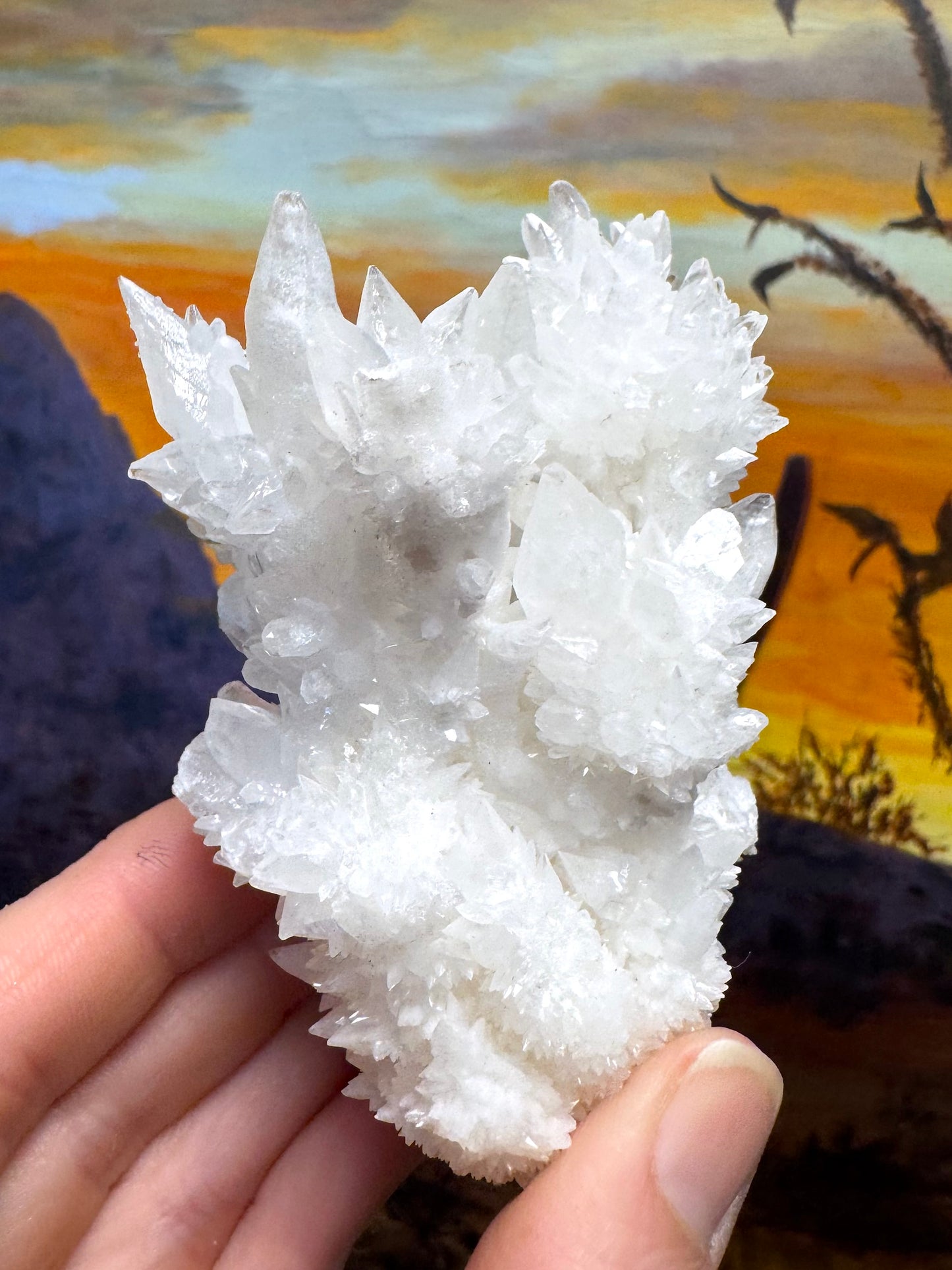 Aragonite stalactite "cave calcite," Santa Eulalia (medium)