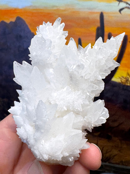 Aragonite stalactite "cave calcite," Santa Eulalia (medium)