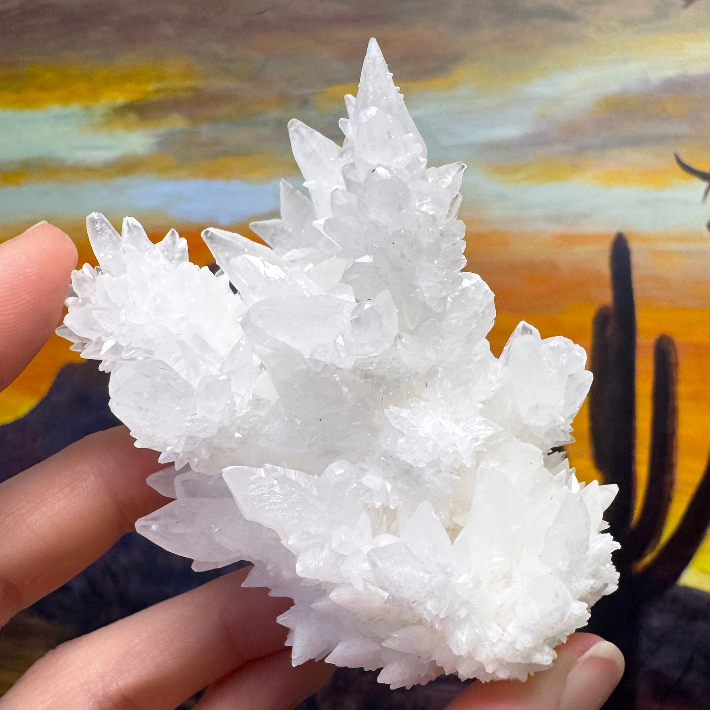Aragonite stalactite "cave calcite," Santa Eulalia (medium)