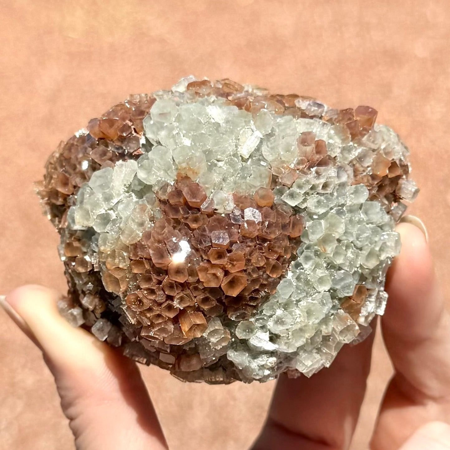 A slightly flattened large round sputnik aragonite with bumps of radial growth. It has small short crystals close together like scales. The piece has excellent distinct pattern of white and red-brown sections.