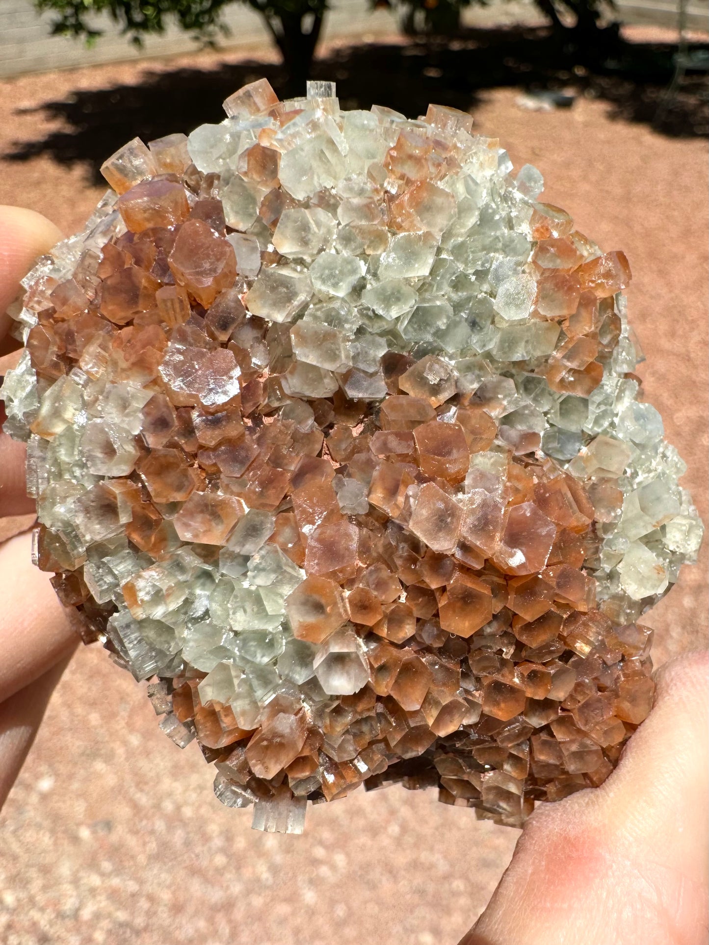 Detail of the surface of the piece, showing the pseudo-hexagonal crystals and crystals shaped like flattened hexagons. There is some translucency to the crystals.